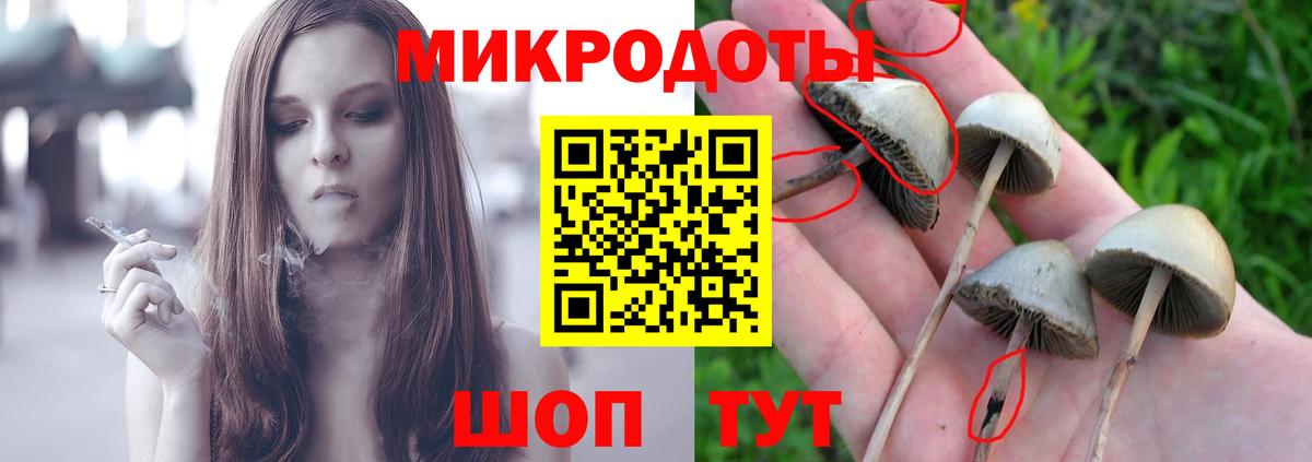 ЭКСТАЗИ  Конопля  МЕТ  A-PVP СОЛЬ   Меф МЯУ МЯУ   Вход с VPN  Кетамин  Баксан  COCAIN  ГАШИШ 